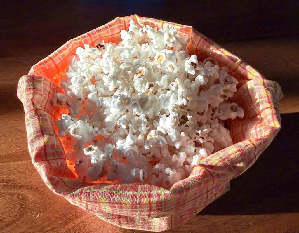 A bowl lined with a yellow and pink plaid cloth filled with popped popcorn sits on a wooden surface in sunlight.